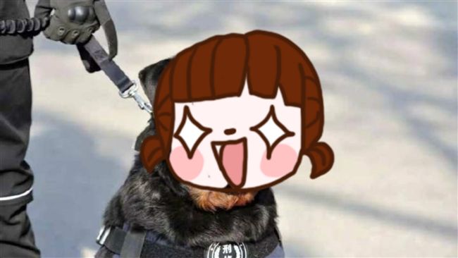 霸氣警犬頭貼…！萌翻網友：鐵血漢子