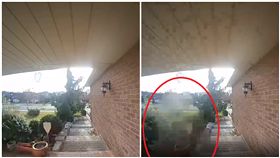 門鈴,長凳,加拿大,鄰居,快遞(圖/翻攝自YouTube)