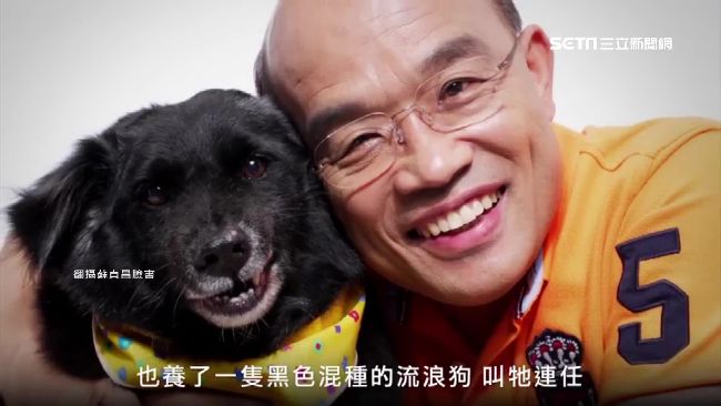 動保處丟包流浪犬　蘇怒：牠沒投票權