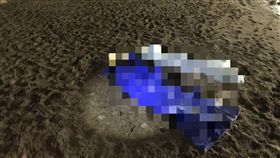 新北,白沙灣,跳海,輕生,自殺,母女（圖／翻攝畫面）