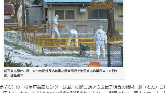 日本再傳豬瘟　即日起禁日豬肉品進口