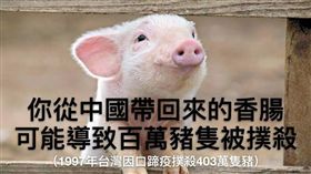 農委會防檢局,非洲豬瘟,奇摩,拍賣,肉類,台灣,大陸,選舉,林艾德 圖／翻攝自臉書林艾德