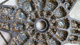 洗衣機底盤長滿異物。（示意圖／翻攝自臉書粉絲專頁「喬治先生洗衣機清潔專家」）