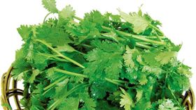 長期攝取香菜，可清除心、肝、肺、腎與消化道裡的有毒重金屬。（圖／翻攝百度百科）