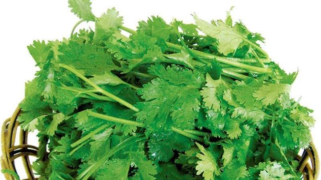 奧客怨香菜！嫌噁心命隔壁客人不准吃