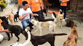 ▲陳偉殷真心愛毛小孩。（圖／陳偉殷公益信託希望基金提供）