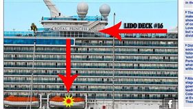 郵輪傳恐怖命案！美婦遭狠夫勒脖墜9樓斷腿慘死  圖/翻攝每日郵報