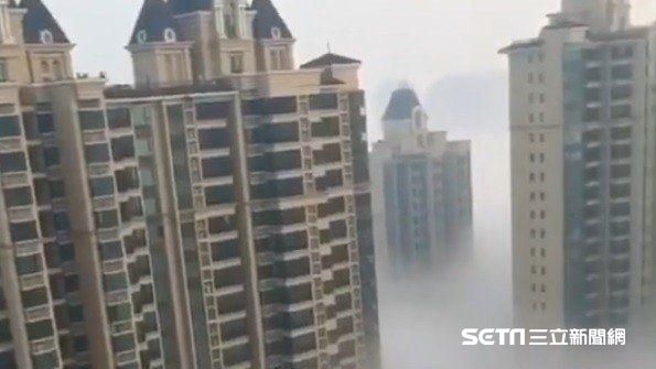 北京霧霾版人間仙境　網：生命力真強