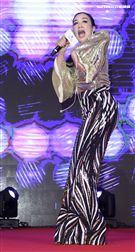 「羅麗芬控股」上市紀念慶典藝人鍾麗緹歌舞獻藝。（記者林士傑/攝影）