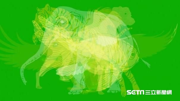 第一眼看到哪種動物　一張圖看個性！