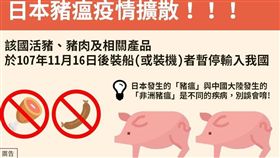 豬瘟,日本,肉類產品,防檢局