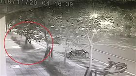 高雄,車禍,自撞,賣場,櫥窗玻璃（圖／翻攝畫面）