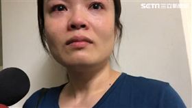 台北,二殯,餓死童,紙貓咪,媽媽（圖／記者 蘇怡璇攝）