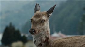 三部劇顯駭客威力　三招教你化解病毒危機