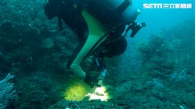 東北角,深澳漁港,新北市政府,金鐘獎,導演,張緯誌,保育區