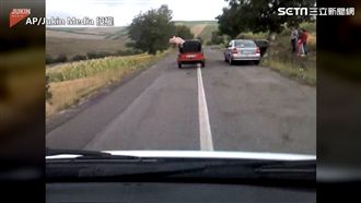 小豬跳車逃亡記　網友歪樓狂標記朋友