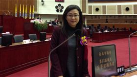  黨內互打！徐巧芯摃王正德假傳聖旨　「違背韓總價值」（圖／臉書）