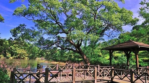 翻轉旅遊模式　台灣鄉鎮輕旅行正夯