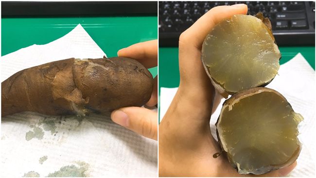他吃這「地瓜」快吐了！網笑：不識貨
