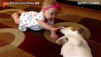 寶寶學爬行　汪星人賣萌教學