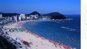 釜山,松亭海水浴場（圖／翻攝自nocutnews）