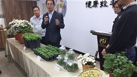種苗場健康杭菊育苗技轉農委會種苗場22日召開「健康種苗完整杭菊產業 健全農場管理安全再升級」記者會，公布已技轉育苗業者，將提供業者經檢驗確認健康母株育成的苗，再產出健康種苗，約於明年春季就可提供農民栽種杭菊之用。中央社記者楊淑閔攝　107年11月22日