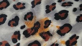 私密處,辣椒醬.床鋪,火燒,人妻,兒子,爆怨