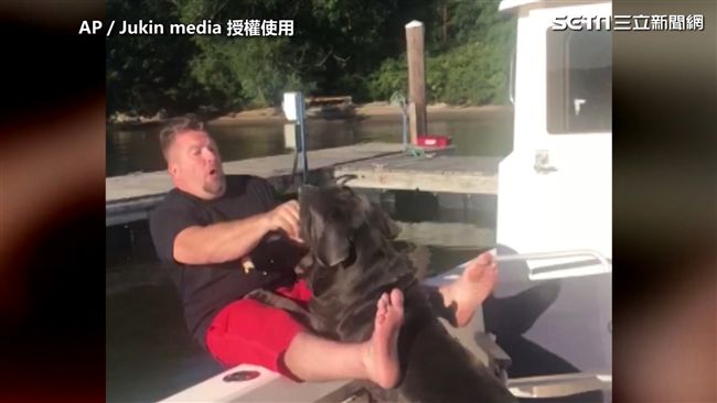 握手變推人　鏟屎官遭汪星人推下水