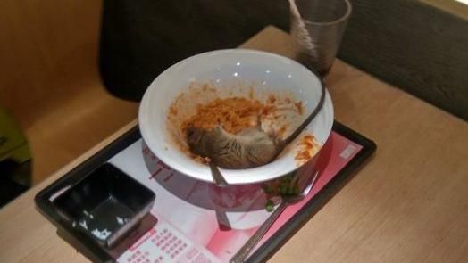 大媽碗中天降肥鼠！網笑：加菜不加價