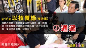 公投,九合一選舉,反核食,空汙,以核養綠,核能