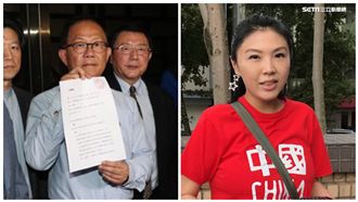 丁喊選舉無效！劉樂妍支持驗票卻酸爆