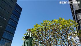 天氣,氣象局,東北風,南方雲系