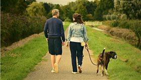 遛狗,狗鍊,狗狗　圖/pixabay