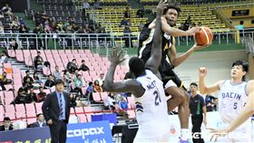 SBL金酒洋將貝斯（圖／記者劉家維攝影）