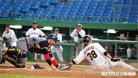 ▲警察廳捕手金泰君（左）與讀賣巨人岸田行倫本壘攻防戰。（圖／中華職棒提供）