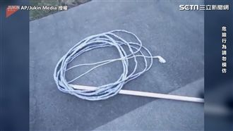 巨無霸甩鞭實況秀　男被打到痛苦哀號