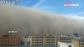 文 甘肅吞天砂1600