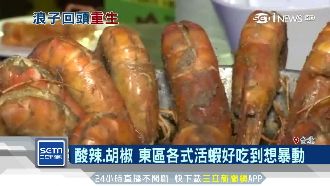 催債浪子改賣活蝦！年營收直奔5千萬