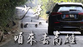 Mercedes-Benz A250(圖/車訊網)