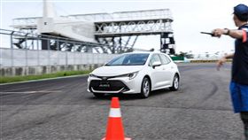 Toyota Auris(圖/車訊網)