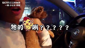 毛小孩遭調包！命根子消失網紅大驚