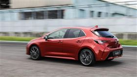 Toyota Auris(圖/車訊網)