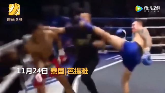 泰拳選手鞭腿踢對手　竟意外KO裁判