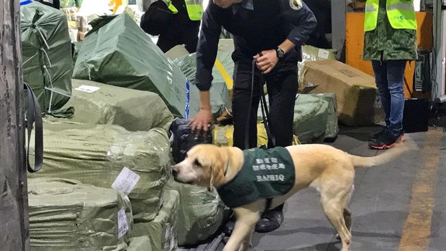 防豬瘟！立院初審通過　違規可罰百萬
