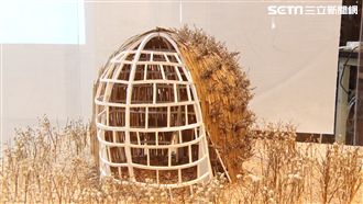 藝術家攜鄉民　共創種籽迷宮美麗永靖