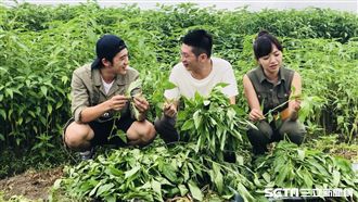 百年餅鋪　新口味竟是「仙丹靈藥」？