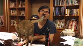 陳其邁臉書直播，愛貓瘋狂亂入。（圖／翻攝自陳其邁臉書）