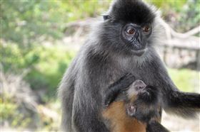 （圖／Tripbaa趣吧！亞洲自由行專家）