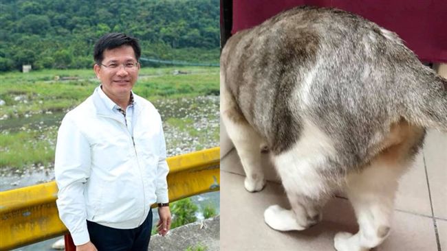 網貼貓照要他4年後回來　林佳龍親回