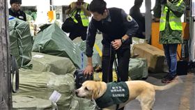 非洲豬瘟,中國大陸,香腸,防檢局,農委會